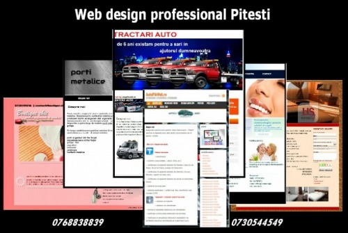 Web design professional Pitest