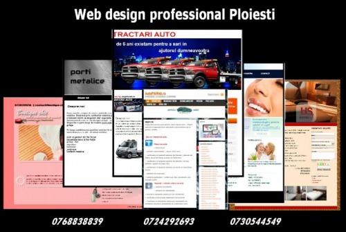 Web design professional Ploies
