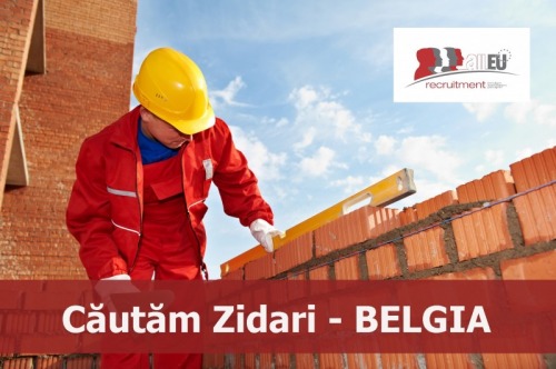 Zidari   Belgia