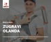 zugravi olanda