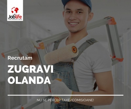 ZUGRAVI OLANDA   de la 2400 eu