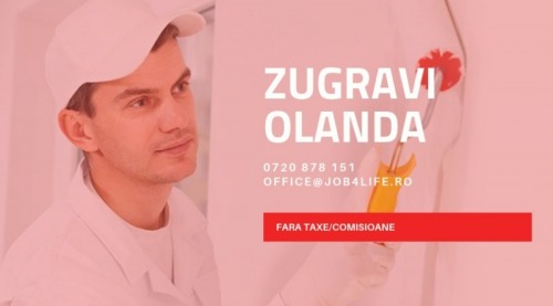ZUGRAVI OLANDA